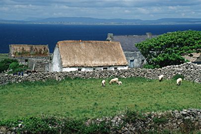 Häuser auf Inishmore